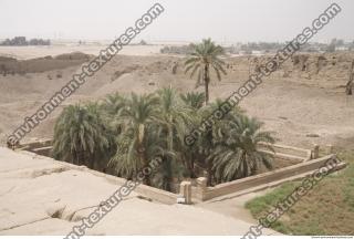 Photo Texture of Landscape Dendera 0112